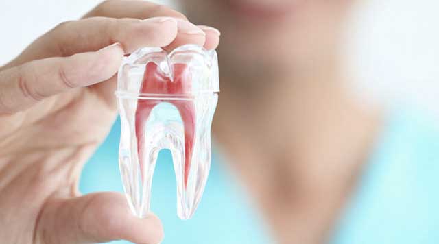 Endodontie